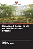  Canopée & béton: la vie cachée des arbres urbains