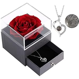 Echte roos met liefde voor halsketting, sieraad cadeau voor haar, nooit verwelkte rozen, bloem voor Valentijnsdag, Moederdag, jubileum, verjaardagscadeau, roos, geschenkdoos voor moeder, vriendin, vrouw (rood)