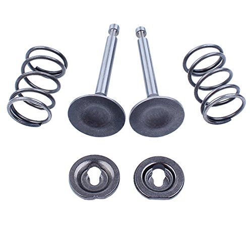 Haishine Intake Inlet Exhaust Valve Spring Retainer Kit Fit HONDA