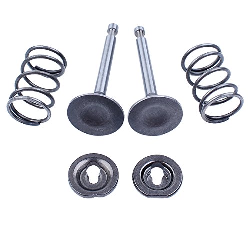 inlet and exhaust valves - HAISHINE Intake Inlet Exhaust Valve Spring Retainer Kit Fit Honda GX160 GX200 5.5HP 6.5HP Gasoline Engine/Motors Generator