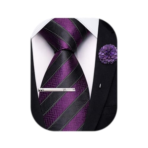 Image of Hi-Tie 63 inches Striped Paisley Extra Long Ties for Men Silk Necktie with Lapel Pin Tie Clip Big and Tall Men Formal Wedding