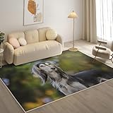 [Facile à nettoyer] : Ce tapis lavable en machine facilite le quotidien ; il suffit de le laver en machine et de le laisser sécher à l'air libre. Il peut également être facilement aspiré ou nettoyé avec un chiffon humide pour un entretien facile.