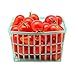 SUNSET Sweet Angel Red Grape Tomatoes, 32 OZ