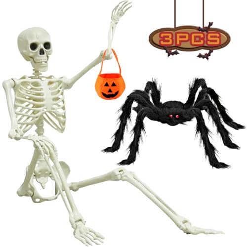 5.4ft/165cm Halloween Skeleton, Life Size Skeleton with Spider Pumpkin Bag,