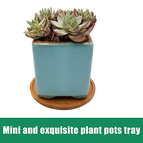 6Pcs Bamboo Round Plant Saucer, With 50 Pcs Plant Labels, 2.5 , 4.7 Inch Durable Plant Drip Tray Saucers Flower Pot Set Round Pallets For Indoor Outdoor Garden (2.5 Inch 2Pcs, 4.7 Inch 4Pcs) #TOP3