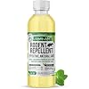 Mighty Mint Peppermint Oil Rodent Repellent Concentrate Natural Indoor & Outdoor Control for Mice and Rats Plant-Based, Extra-Strong Formula - 16 oz