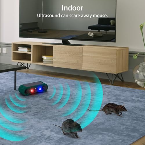 Alarme de sensor de movimento solar ao ar livre: Alarme de indução infravermelho solar ultrassônico