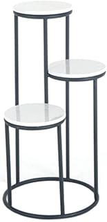 AGWa Plant Storage Shelves Flower Stand Decorative Frame Indoor Flowers Pot Rack Display Shelf Iron Art Fashion Home Decor,Black,Big