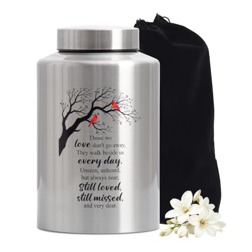 Image of Cremation Urns for Human Ashes Adult - Woman /Men /Dad /Mom | Silver Decorative Burial Urns for Male and Female, Funeral Memorial Urn (220 LB)