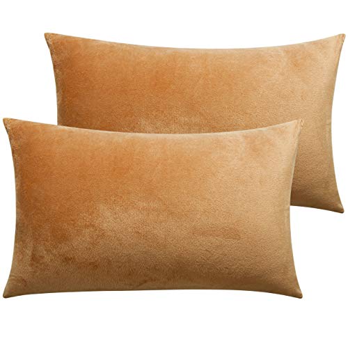 Image of NTBAY 2 Pack Zippered Velvet Queen Pillowcases, Super Soft and Cozy Luxury Fuzzy Flannel Pillow Cases with Zipper, 20x30 Inches, Camel