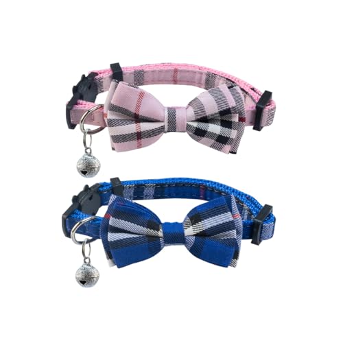 SuperBuddy Lp E 킢{Ext - 2pbN qL̎ iq L  O\ȒlN^Ct L qLpc