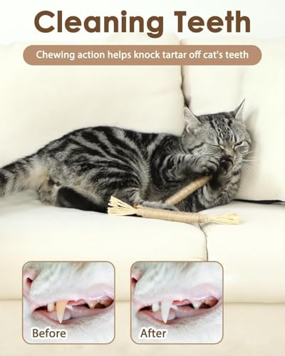 Image of Silvervine Sticks Cat Toys, 2 Pack Natural Cat Chew Stick Toy for Cats Dental Care Teeth Cleaning, Matatabi Catnip Treat Toys for Indoor Cat Kitten, Catnip Toys, Suitable for All Cats