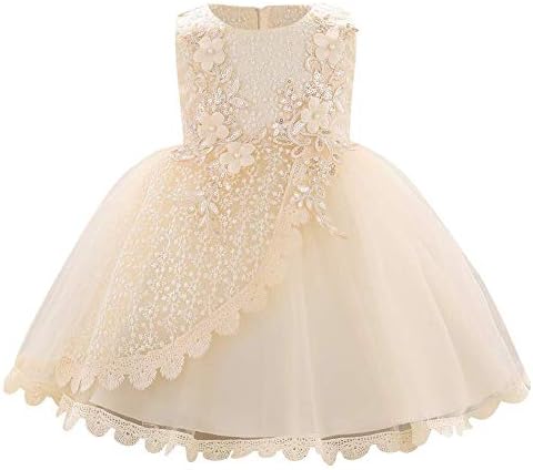 Baby Girl Lace Flower Tutu Dress Summer Sleeveless Floral Emboridered Beaded Ruffle Tulle Gown Wedding Birthday Champagne 18-24 Months