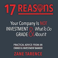 17 Reasons Your Company Is Not Investment Grade & What to Do About It Audiobook By Zane Tarence cover art