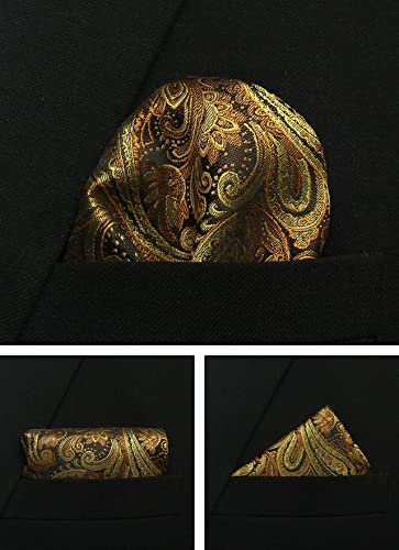 Image of Paisley Floral Mens Tie Formal Necktie Pocket Squares Ties Clips Cufflinks Classic for Men Set