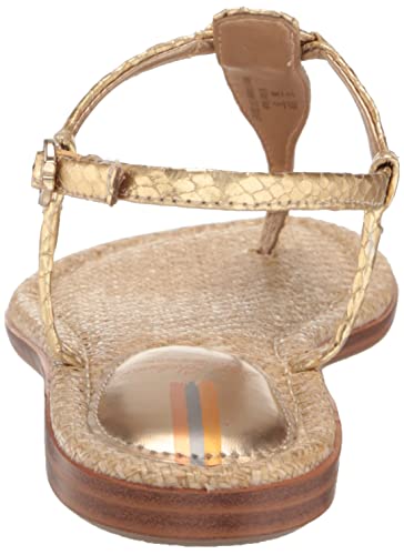 Image of Gigi Gold Boa Signet Flat Sandal by Sam Edelman