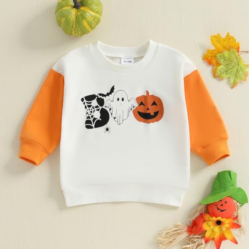 ZAXARRA Little Baby Boys Clothes Halloween Sweatshirts Long Sleeve Round Neck Bat Spider Ghost Pumpkin Print Fall Pullover2