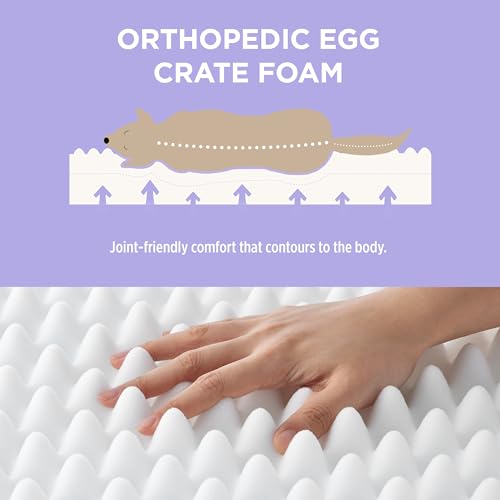 Lesure 4 Inch Thick Orthopedic Foam Dog Bed for Large Dogs, Waterproof Chic Flat Dog Bed with Removable Cover, Cute Fuzzy Pet Beds for Indoor Dogs (36\" x 27\", Cream)