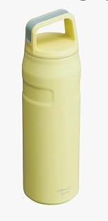 STANLEY IceFlow Cap and Carry Water Bottle 24 oz | Wide Mouth Twist Lid | Lightweight and Leakproof for Travel and Sports | Insulated Stainless Steel | BPA-Free | Citron