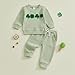 Amiblvowa Toddler Baby Boys Girls St Patricks Day Outfit Clover Embroidery Striped Waffle Sweatshirt Pants Set Irish Clothes (Shamrock Light Green, 12-18 Months)