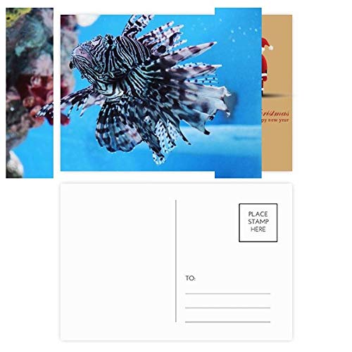 Cartes postales poisson tragique pour vos vœux de Noël marins et originaux