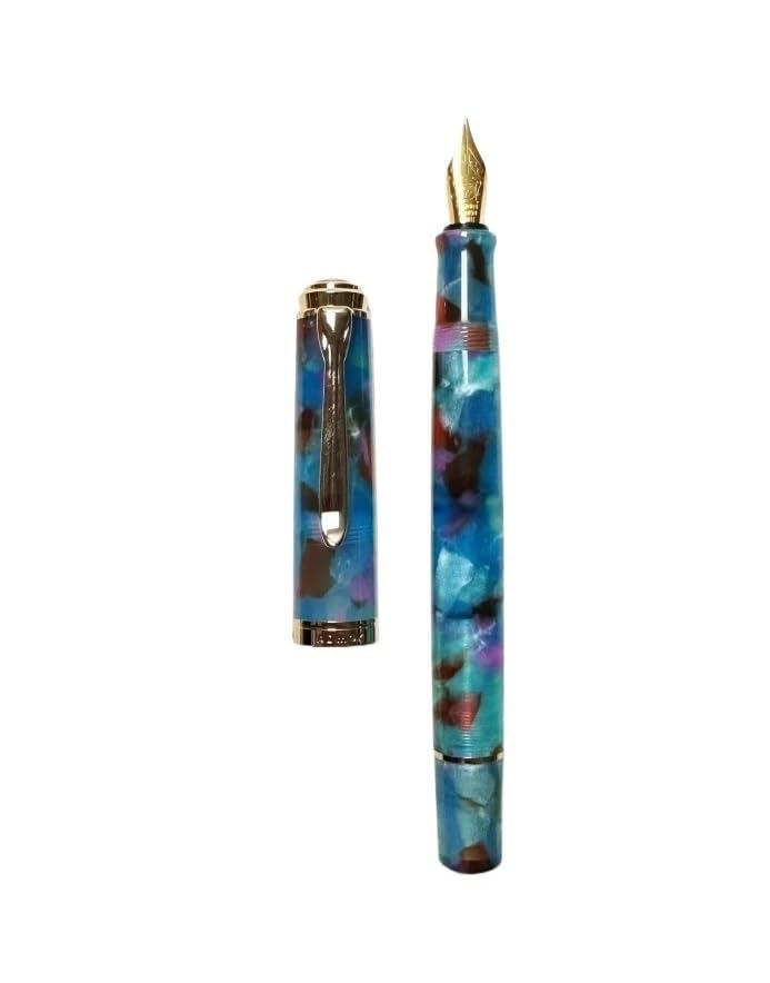 Stylo plume à piston acrylique fini les pannes d'encre en examen