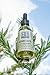 Rawness beauty Rosemary scalp oil - natural plant based ingredients, hydrating & refreshing scalp care for stronger, healthy-looking hair that soothes scalp, adds shine, strength & natural oil balance (2oz)