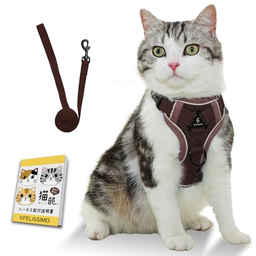 yGŏЉztFV L L p n[lX tt ֊oŊȒP グ h ЊQ  y _炩f   ˍ (STCYAuE)