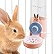 Trinkflasche Kaninchen Automatischer: Kaninchentränke 500ml, Wasserspender Kaninchen, Hasen Trinkflasche, Hängend Haustier Wasserspender für Meerschweinchen Chinchillas Igel Frettchen, 2 Stück
