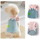 Homie Pettie 犬服 猫服 デニムスカートワンピース ストライプ柄 お花付き 春夏用 かわいい お花見シーズン 桜服 リード取り付け可能 プリンセスドレス ノースリーブ 中型犬 猫兼用 ピンク×ブルー ペットドレス 軽量 通気性 散歩 パーティー 人気 記念撮影に最適 柴犬 チワワ トイプードル ビションフリーゼ ダックスフンド ロンパース (XXL, デニムストライプ桜柄)