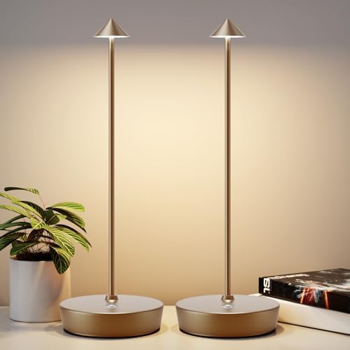 2Pack Rechargeable Cordless Table Lamp, Portable Powered LED Batt...