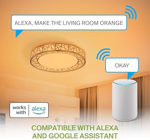 ASD 12 Inch Smart RGBW Flush Mount Ceiling Light with Remote - Brushed Nickel 20W 120V 2700-6500K Dimmable Ceiling Light Fixture, WiFi App Control RGB Lights, Alexa & Google Assistant - ETL