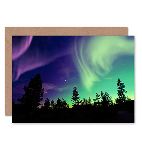 Fine Art PrintsPine Trees Silhouette Northern Lights Greeting Card With Envelope Inside Premium Quality