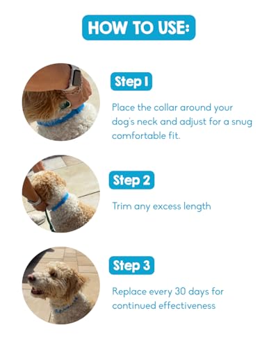 PAWD Calming Collar for Dogs – Vet Recommended Anxiety Relief with Pheromones, Lavender & Chamomile – Up To 120 Days – Adjustable Fit – Ideal for Fireworks, Travel & Separation (Small) - Image 3