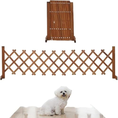 KZZK ȒPɐݒułybghAAybgtFXAؐ̈ݎhAA܂肽ݎŌyʁȀ^ɓKĂ܂ (50CMA160CM܂Ŋg\) [sAi]