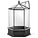 H Potter Glass Terrarium Succulent Planter Wardian Case Plant Container Six Sided WAR151