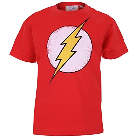 DC Comics Boy's Flash Logo Long Sleeve T-Shirt Cover