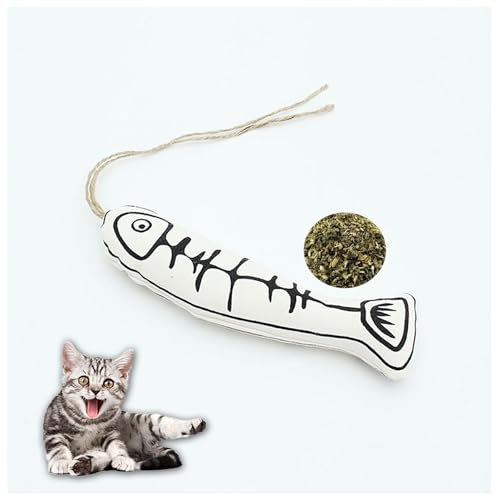 L̂ ̌`̂ L̃~g т L̖_炩 oĂ y  ^L̂C^NeBu    }ɘa NȔL̂ Sȍގ ̃AEghA P 