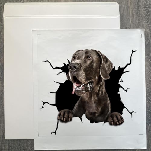 Image of Vinyl Dog Car Decals and Stickers for Women - Great Dane Gift for Dog Lovers