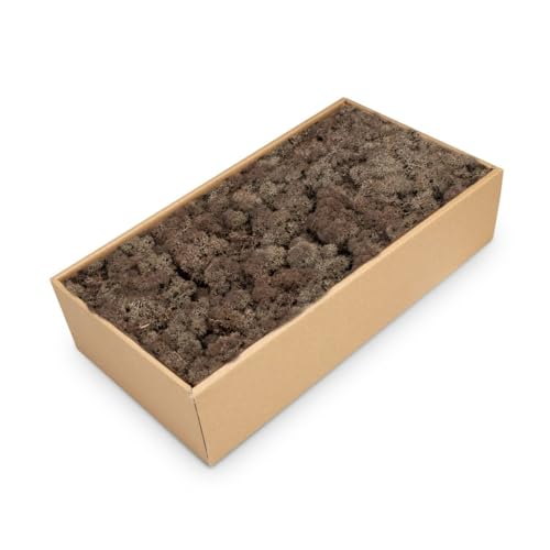 NaDeco Islandmoos in Natur und 30 weiteren Farben zur Auswahl | Deko-Moos | Rentier-Moos | Reendier Moos | Bastel-Moos | Dekomoos | Moos-Deko, Farbe:Braun