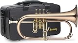 Levante LV-FH6205 Bb Professional Flugelhorn with...