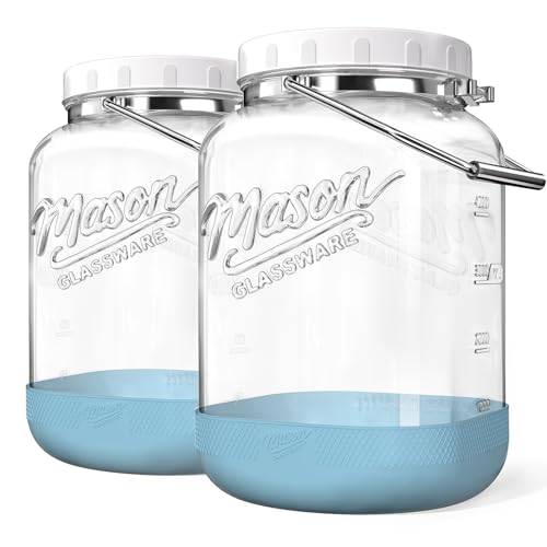 Dwbligt 1.5 Gallon Glass Jar With Airtight Lid