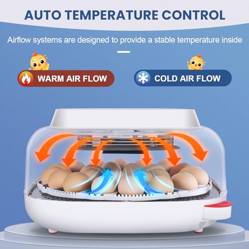 Sailnovo 24 Eggs Incubators for Chicken Eggs with 4 Modes, 360° View Incubator with Automatic Egg Turning and Temperature Control Humidity Display, Digital Incubator for Chicken Quail Duck(Blue) - Thumbnail 3