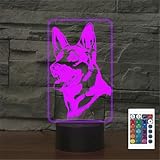 Il y a des options principales : 16 fonctions de changement de couleur / fonction de télécommande / intensité variable / 4 modes de clignotement de couleur (flash, stroboscope, fondu et fondu et lisse) / deux méthodes d'alimentation : 3 piles AAA ou connexion USB (nous recommandons une connexion USB)