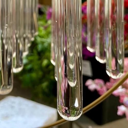 Roman, kannst Du mir Reagenzgl&auml;ser erkl&auml;ren?! copertina