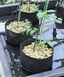 水耕栽培 ロックウール グロダン クラシック2075(12本)