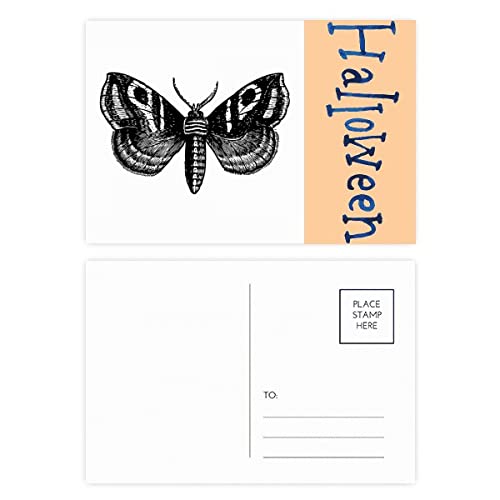 Cartes postales Halloween papillon noir lot de 20 papeterie thématique originale