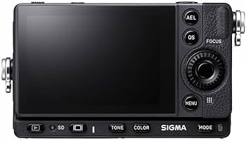 41bIhYbM9fL._AC_UF350,