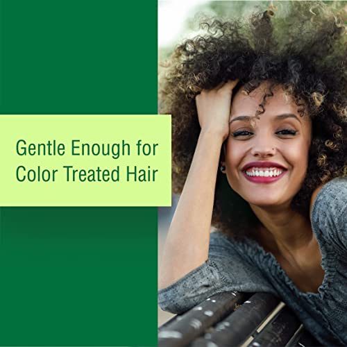 Nothing But Melted Shea Butter Leave-In Conditioner - Sulfate-Free Hair Cream Softens, Detangles, And Seals In Moisture For All Types Of Healthy, Natural Hair, Curls, Color-Safe - 8.8 Oz (Pack Of 1) #TOP5