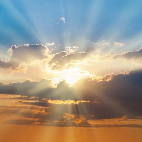 Meditation: Peace and Gratitude